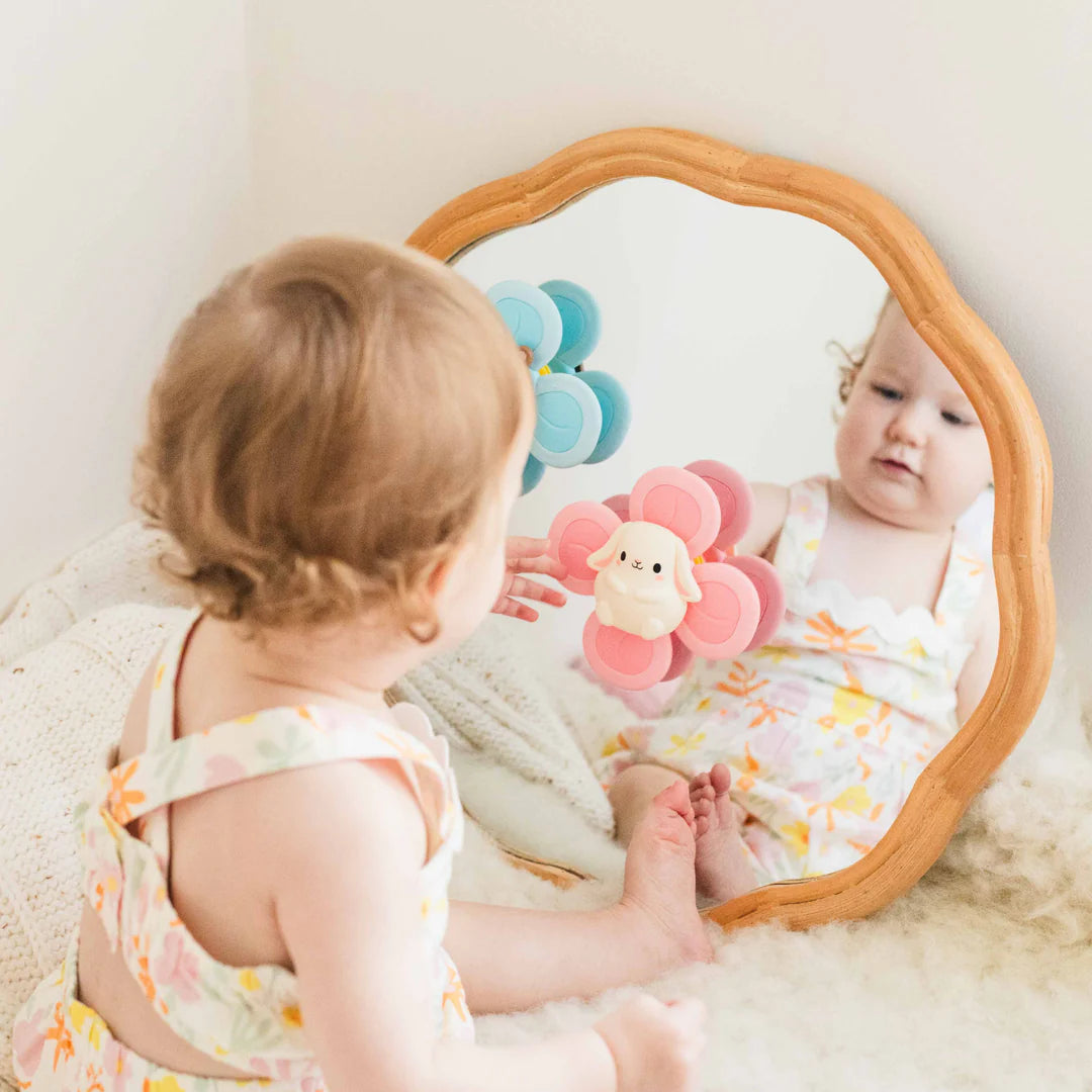 Sensory Spinner - Bear