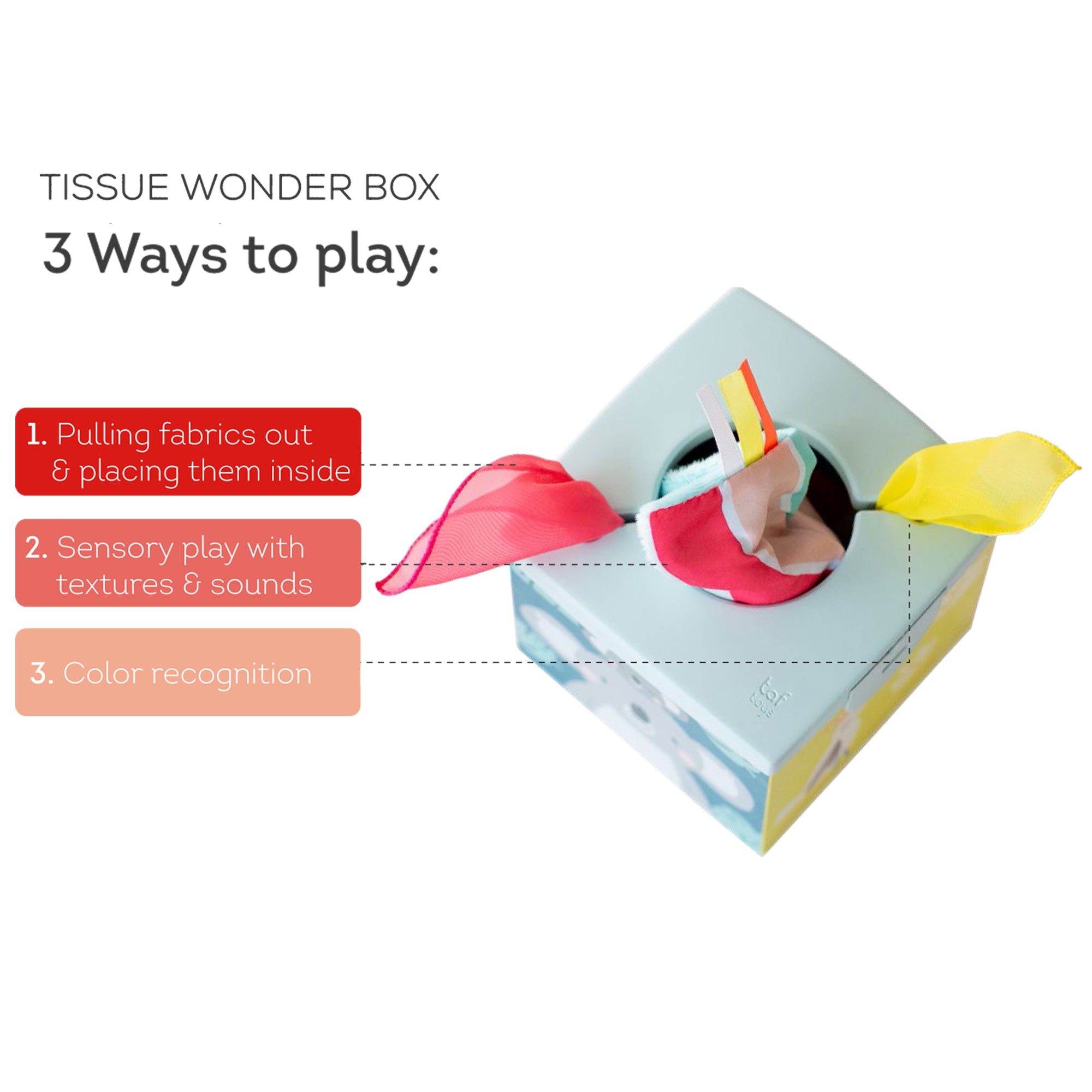 Kimmy Koala Tissue Box