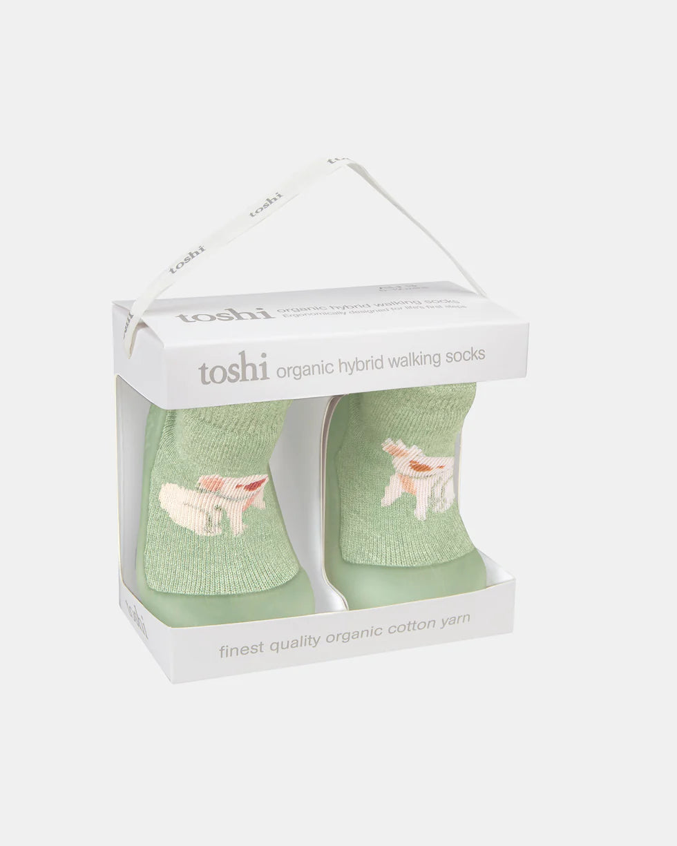 Organic Hybrid Walking Socks - Koala