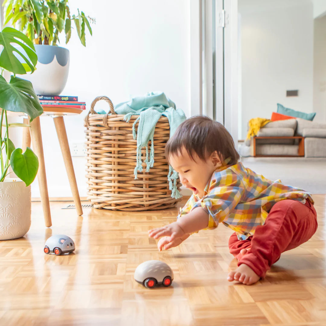 Zoomies - Aussie Animals