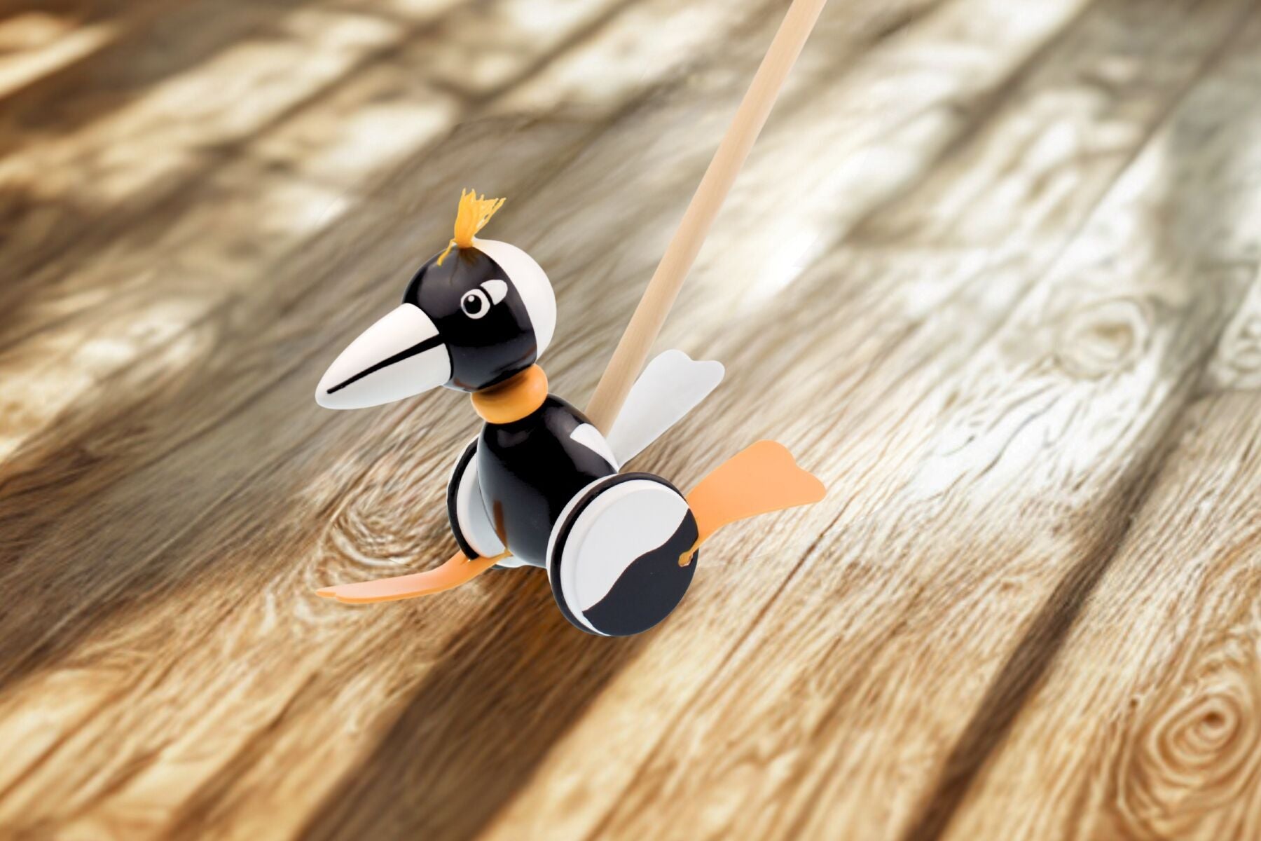 Push Along Magpie