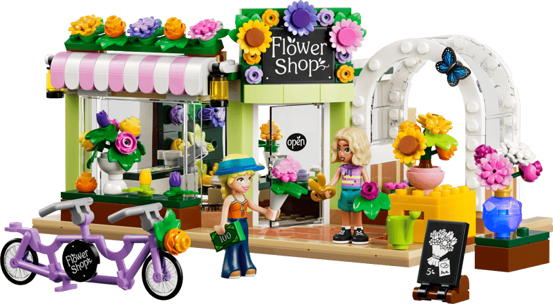 Friends - Creative Flower Shop (42693)
