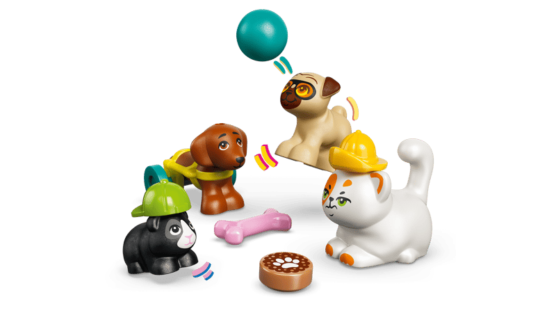 Friends - Fun Water Park Day (42676)