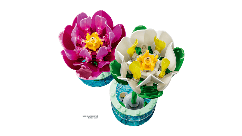 Botanical Collection - Water Lilies (11511)