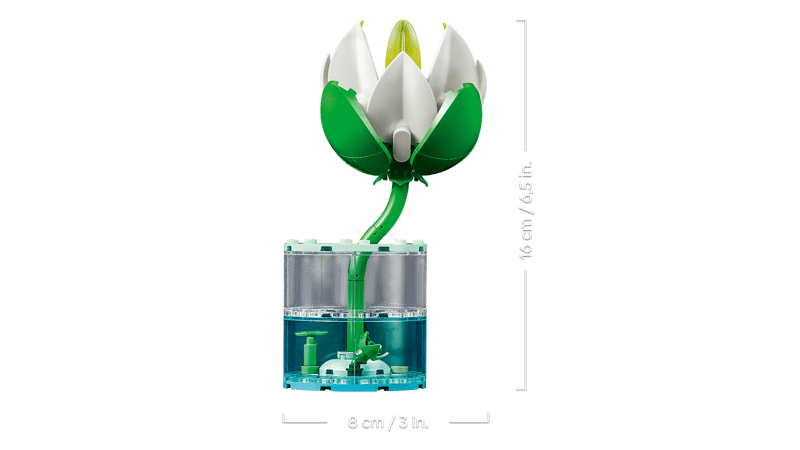 Botanical Collection - Water Lilies (11511)
