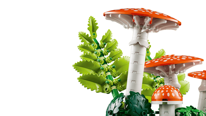 Botanical Collection - Woodland Mushrooms (11505)