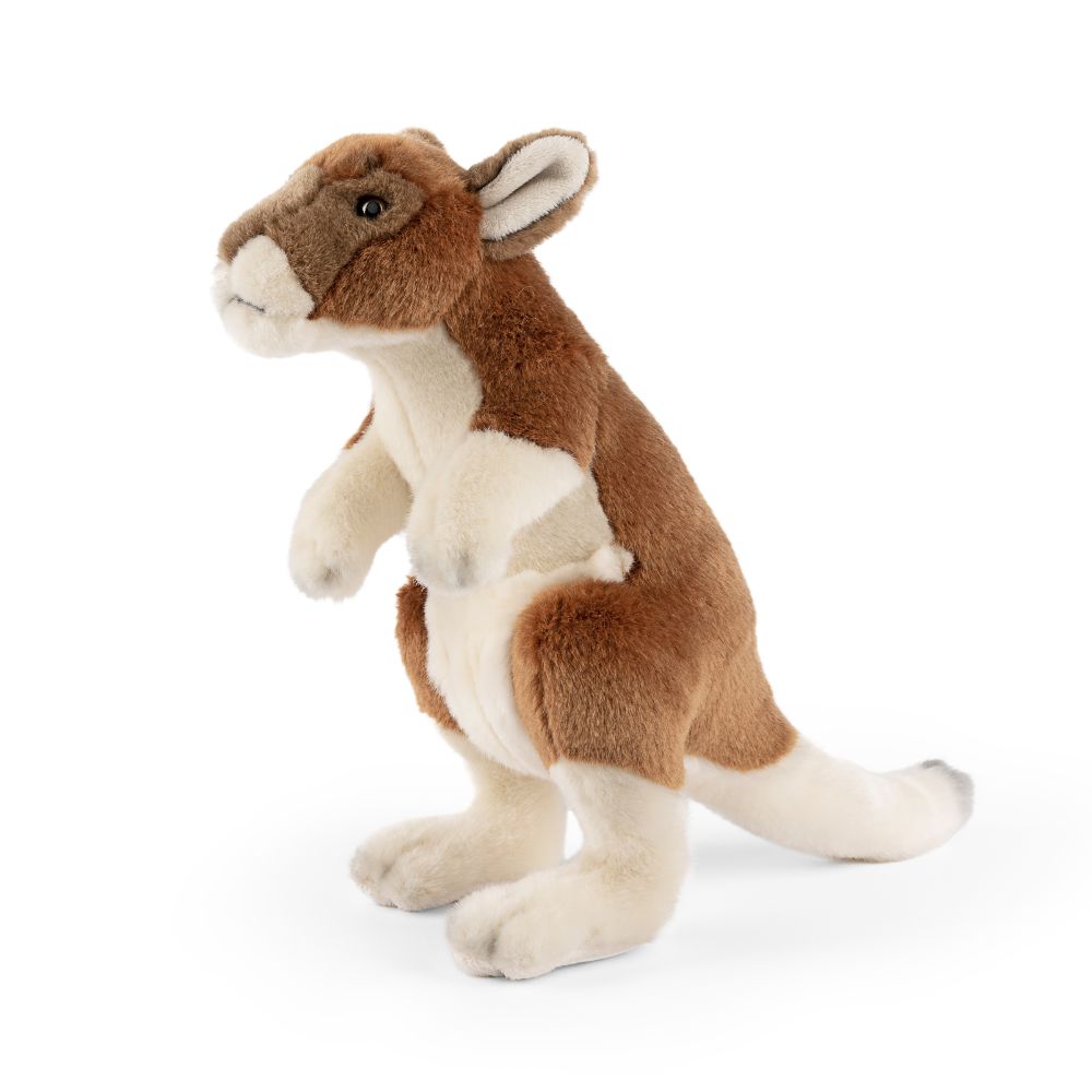 Kangaroo/Wallaby