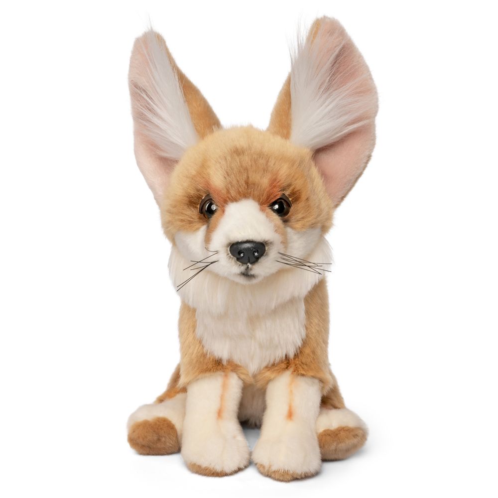 Fennec Fox