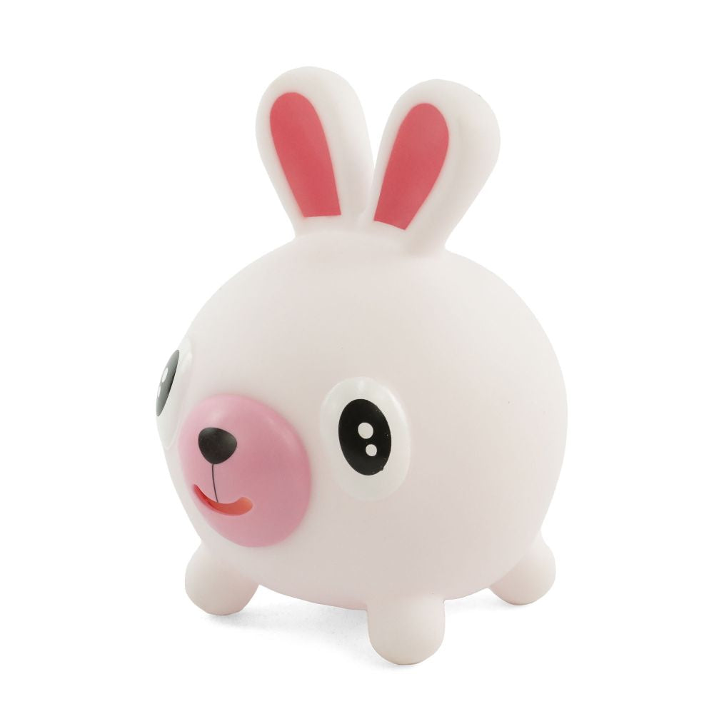Noisy Bunny Sensory Toy