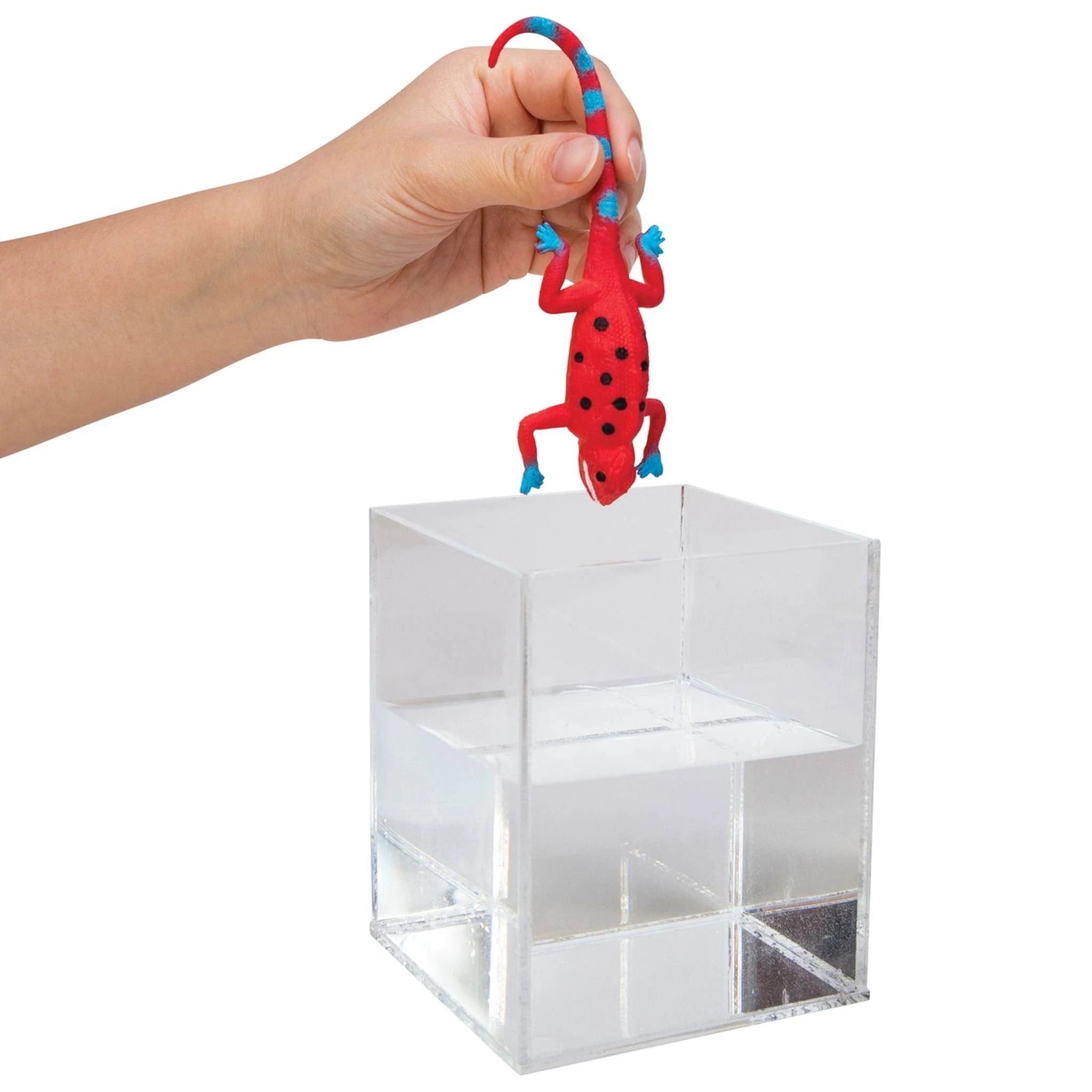 Colour-Changing Revealeons