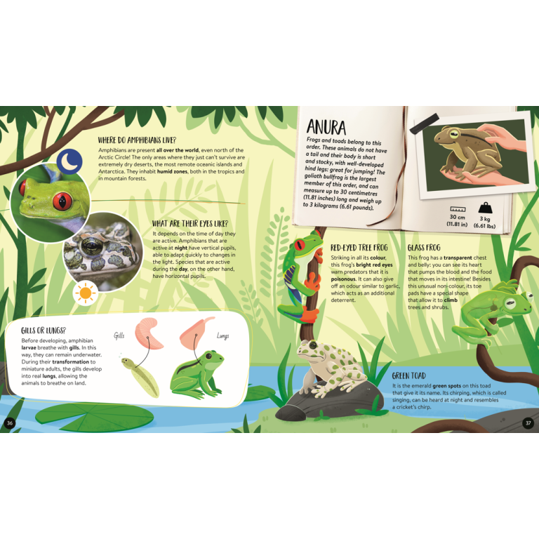 The Ultimate Atlas and Puzzle Set - Animals