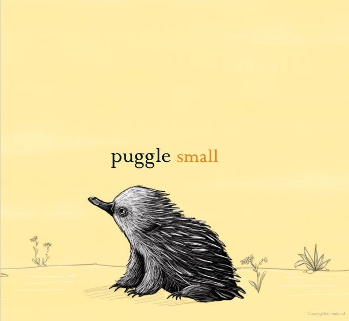 Wombat Big, Puggle Small (Board Book)