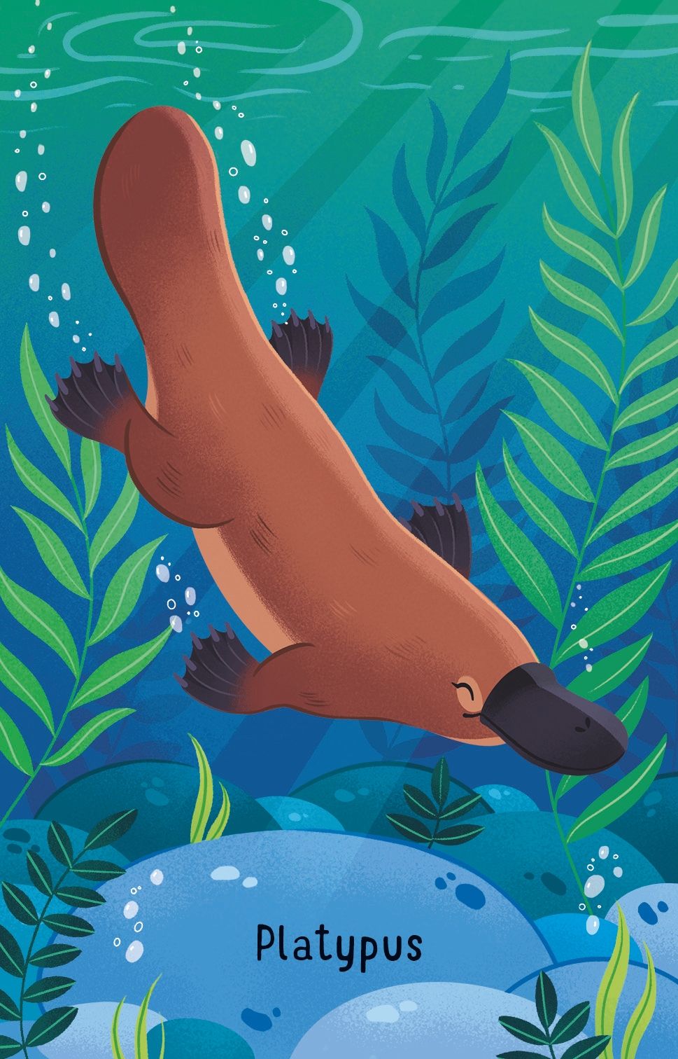 Australian Animals Snap