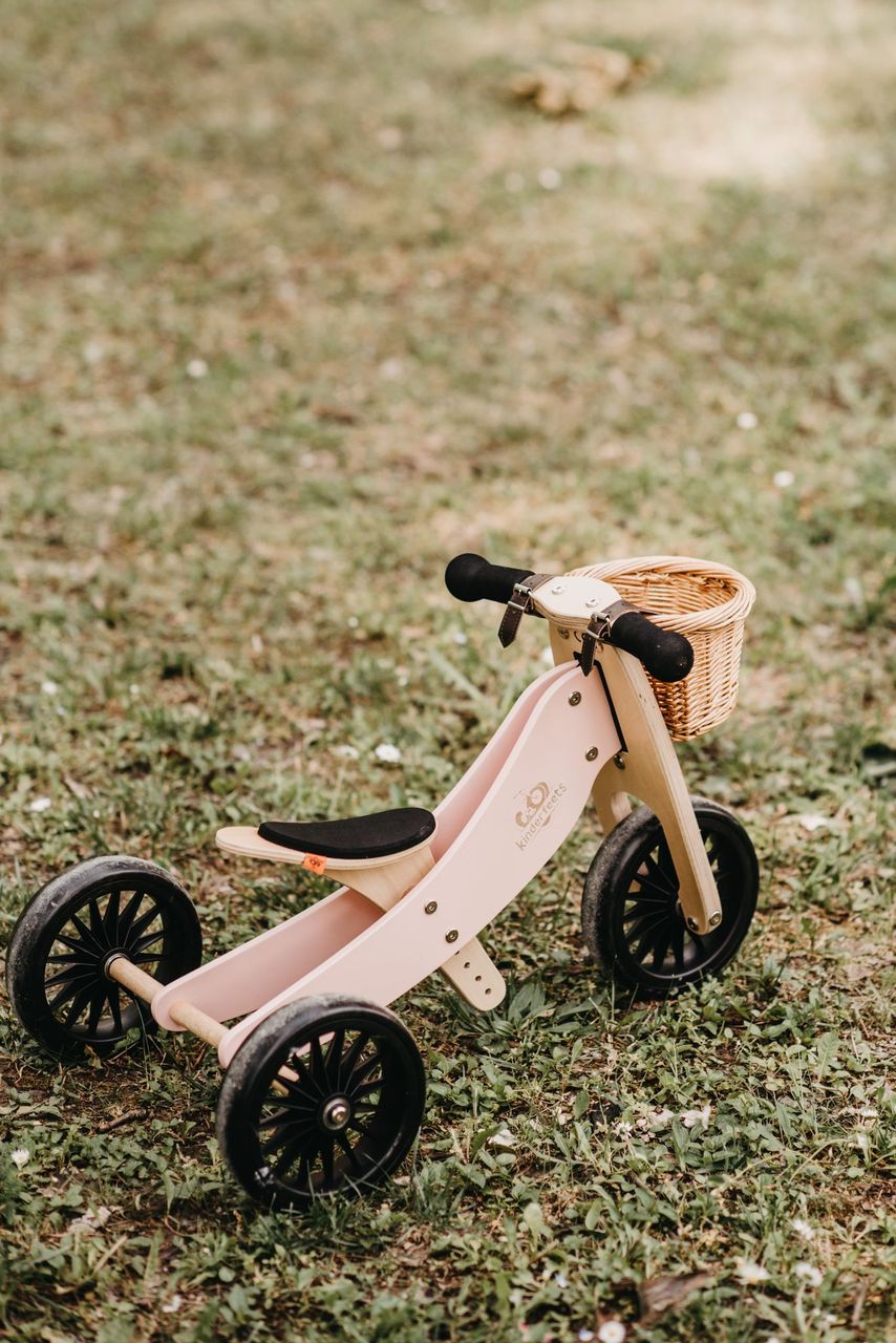 Tiny Tot Plus - Rose