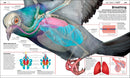 Knowledge Encyclopedia: Science!