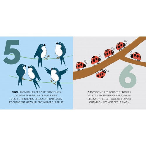 Wooden Sorting Box and Book - Numbers