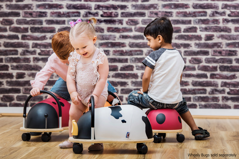 Wheely Bug - Small Ladybug - Toot Toot Toys