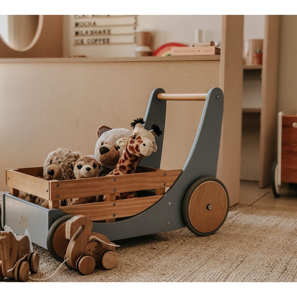 Cargo Walker - Slate Blue