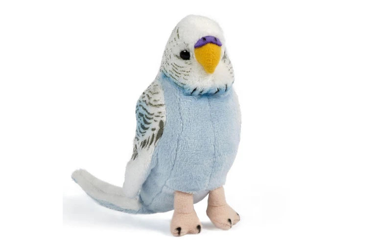 Budgerigars with Sound - Blue