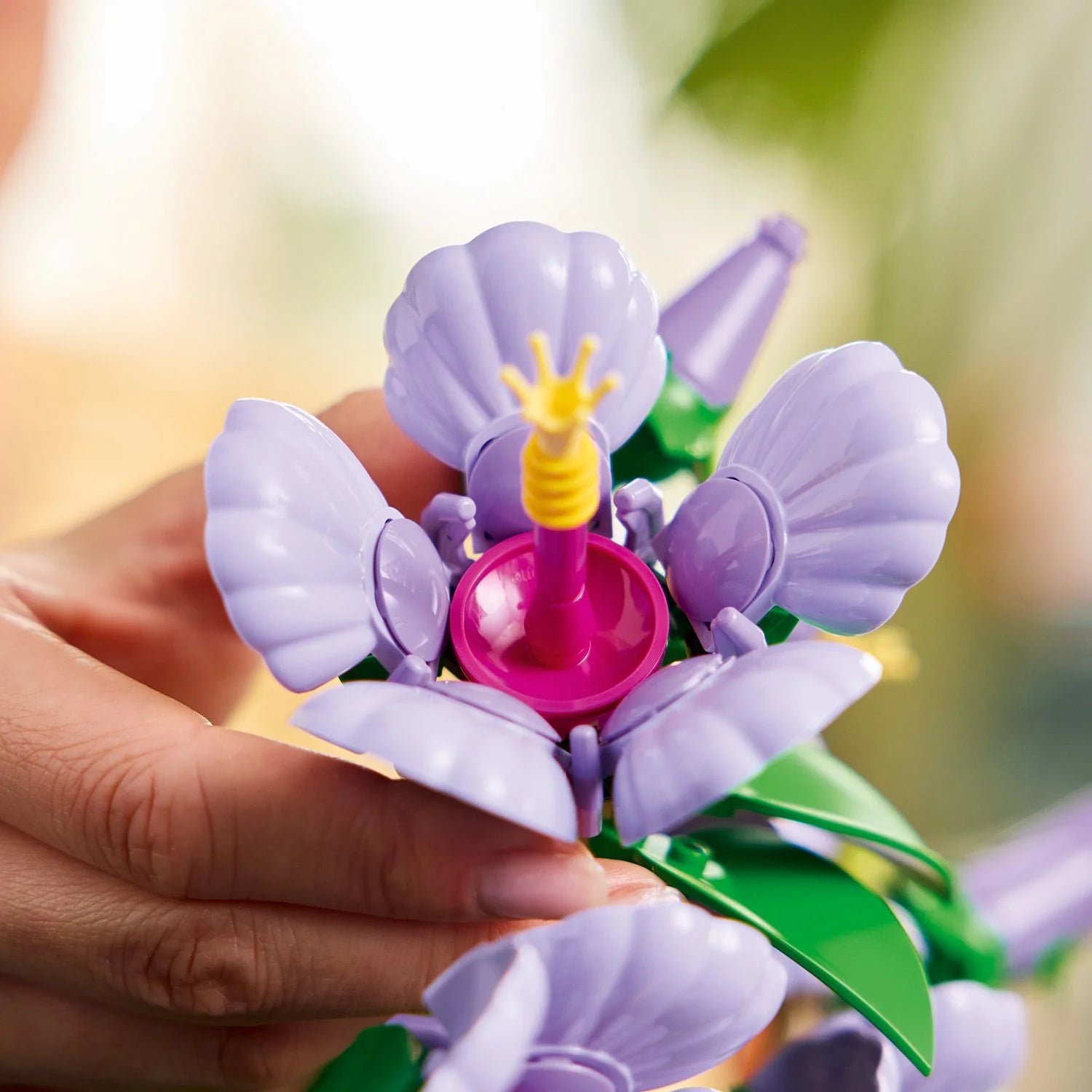 Botanical Collection - Hibiscus (10372)