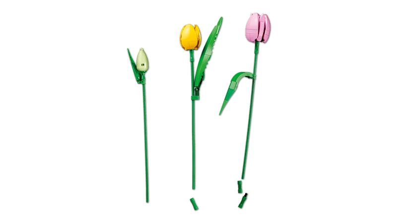 Botanical Collection - Tulip Bouquet (11501) - Toot Toot Toys