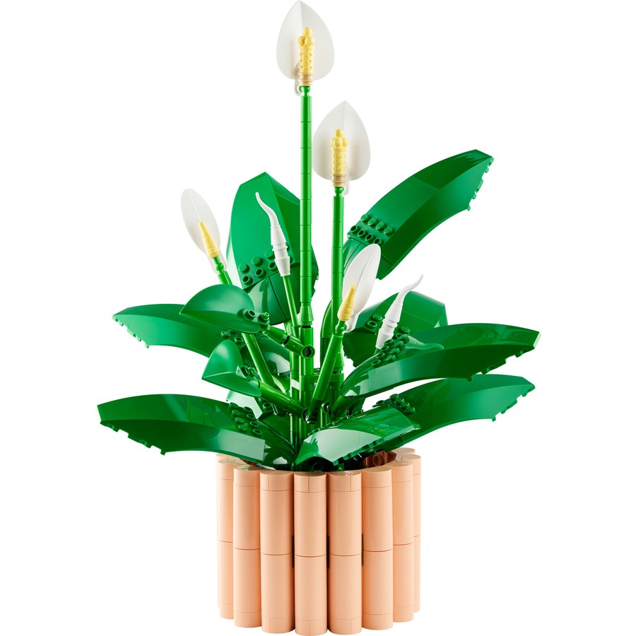 Botanical Collection - Peace Lily (10504)