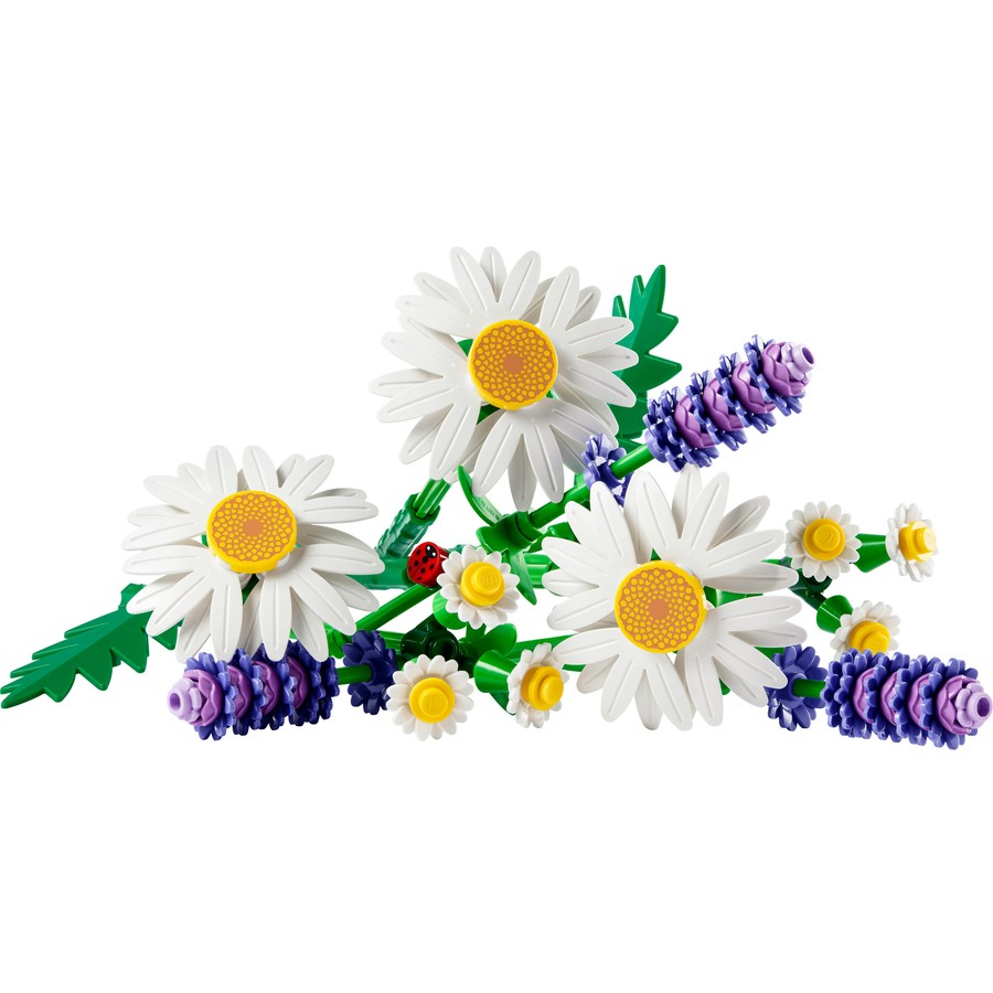 Botanical Collection - Daisies (11508)