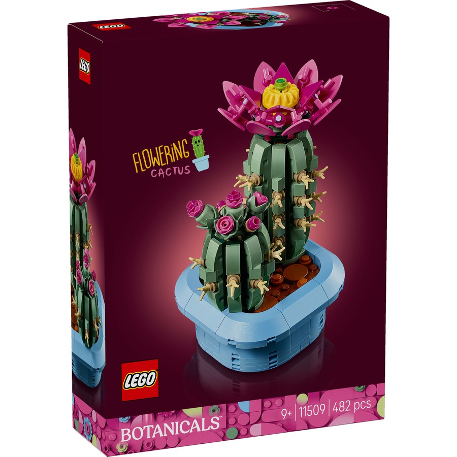 Botanical Collection - Flowering Cactus (11509)