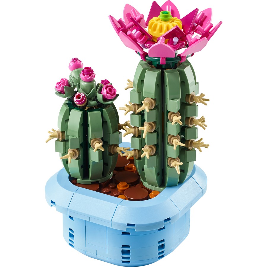 Botanical Collection - Flowering Cactus (11509)