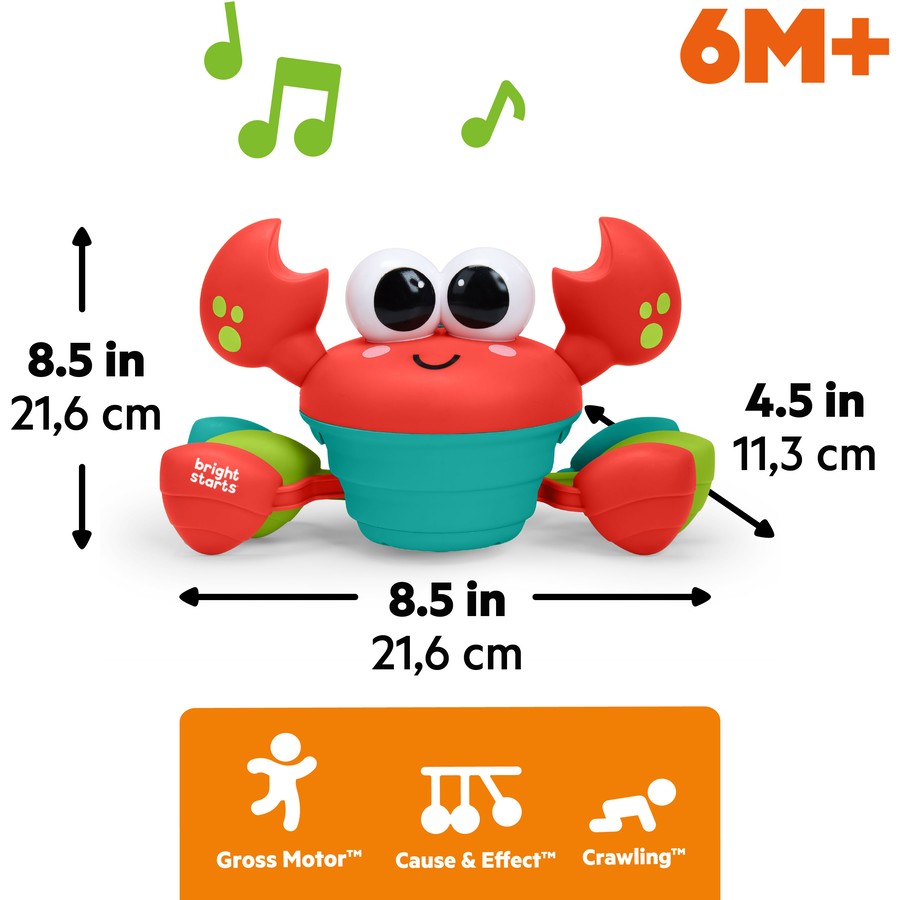 Rockin' Crawling Crab