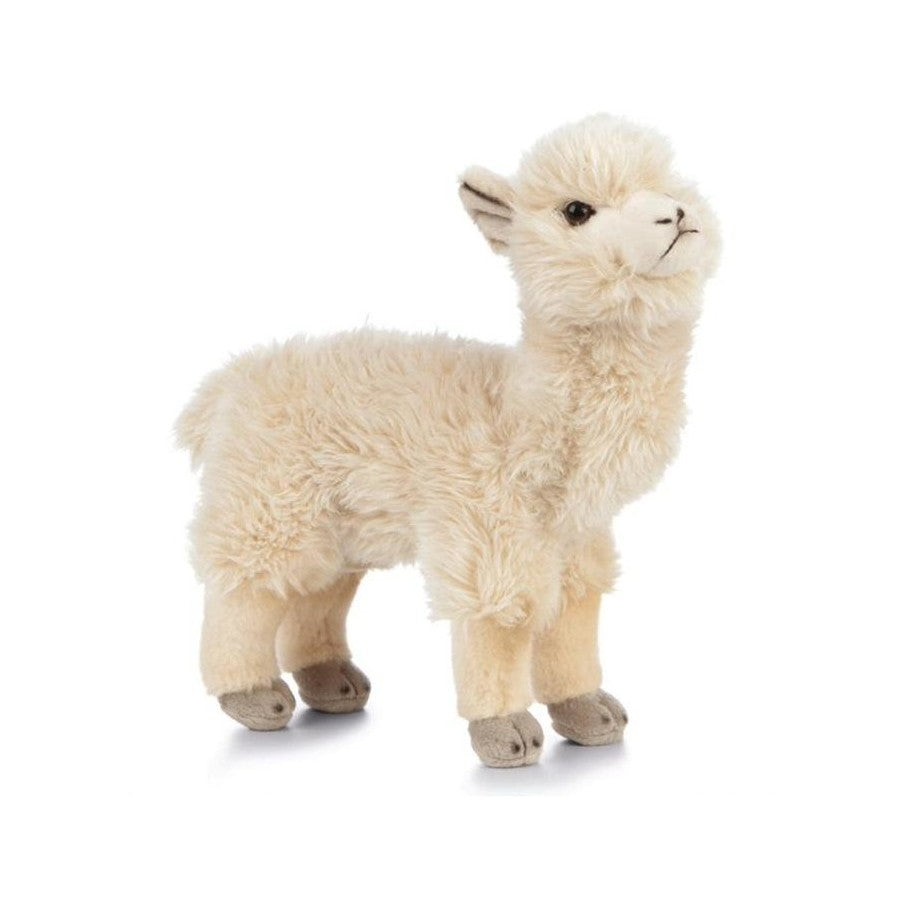Alpaca