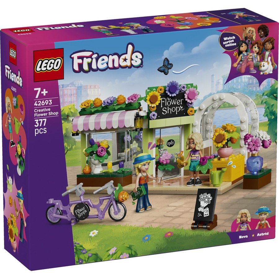 Friends - Creative Flower Shop (42693)