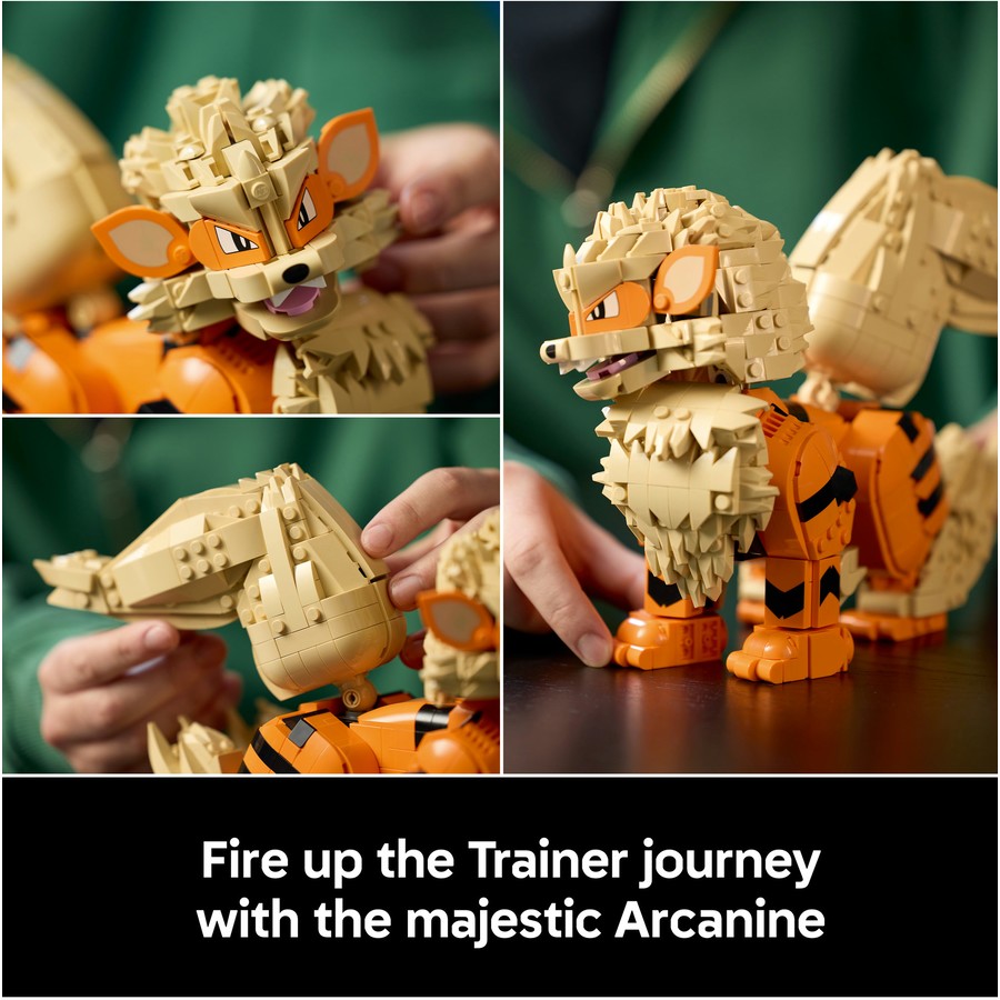 Pokémon™ - Arcanine (72160)