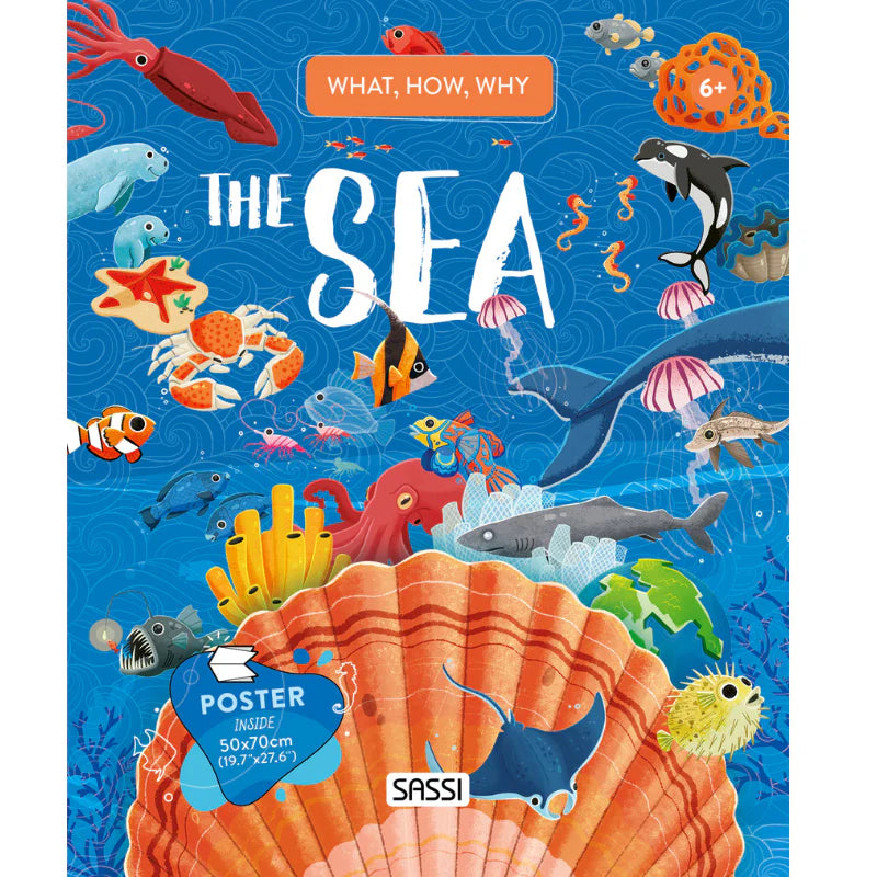 What, How, Why - The Sea Book and Poster