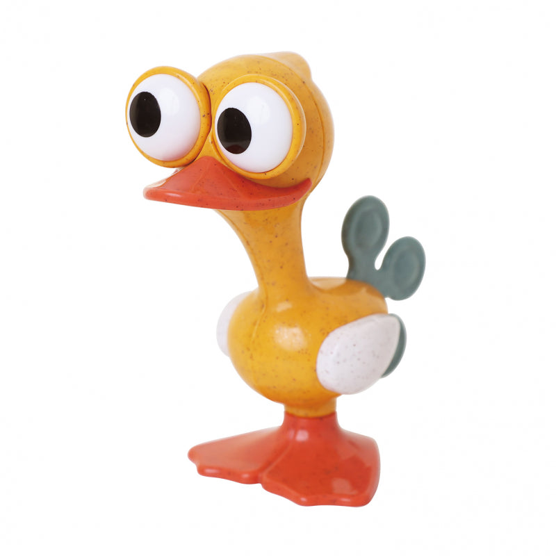 Crazy Eyed Bird