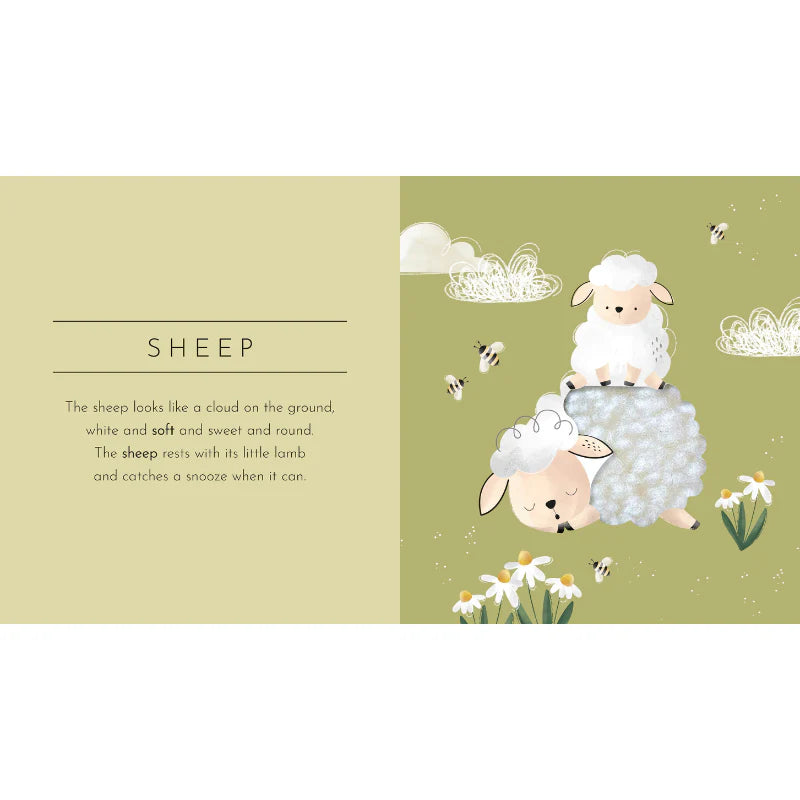 Touch & Feel Pocket Board Book - Animals