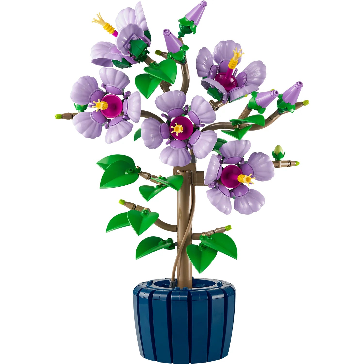 Botanical Collection - Hibiscus (10372)
