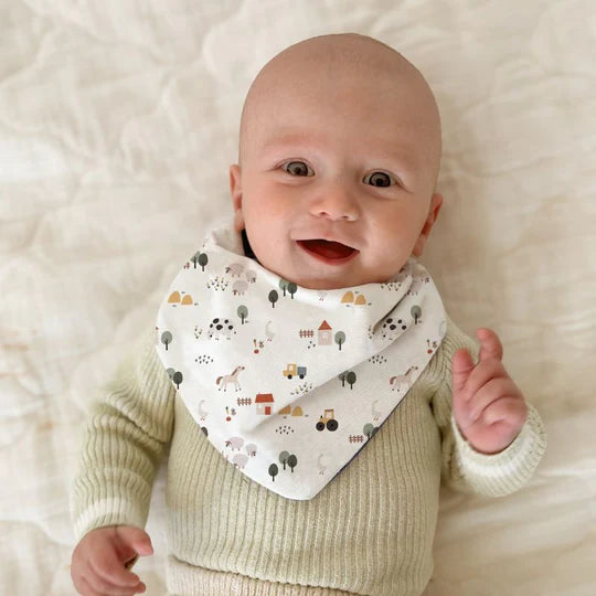 Bandana Bibs Reversible 2pk - Country Farm