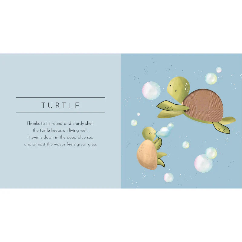 Touch & Feel Pocket Board Book - Animals