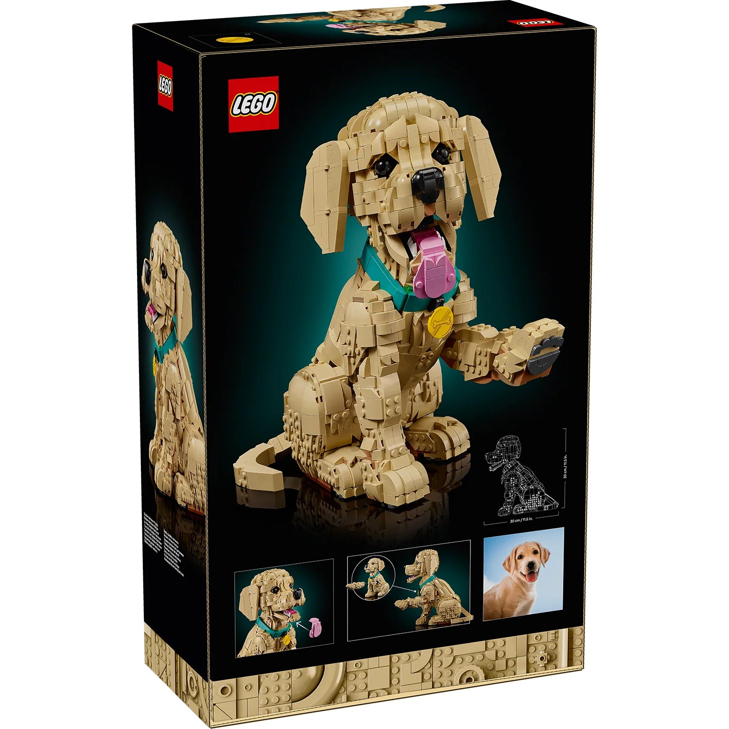 Icons - Golden Retriever Puppy (11384)