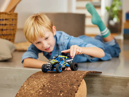 Technic™ - Off-Road Race Buggy (42164)