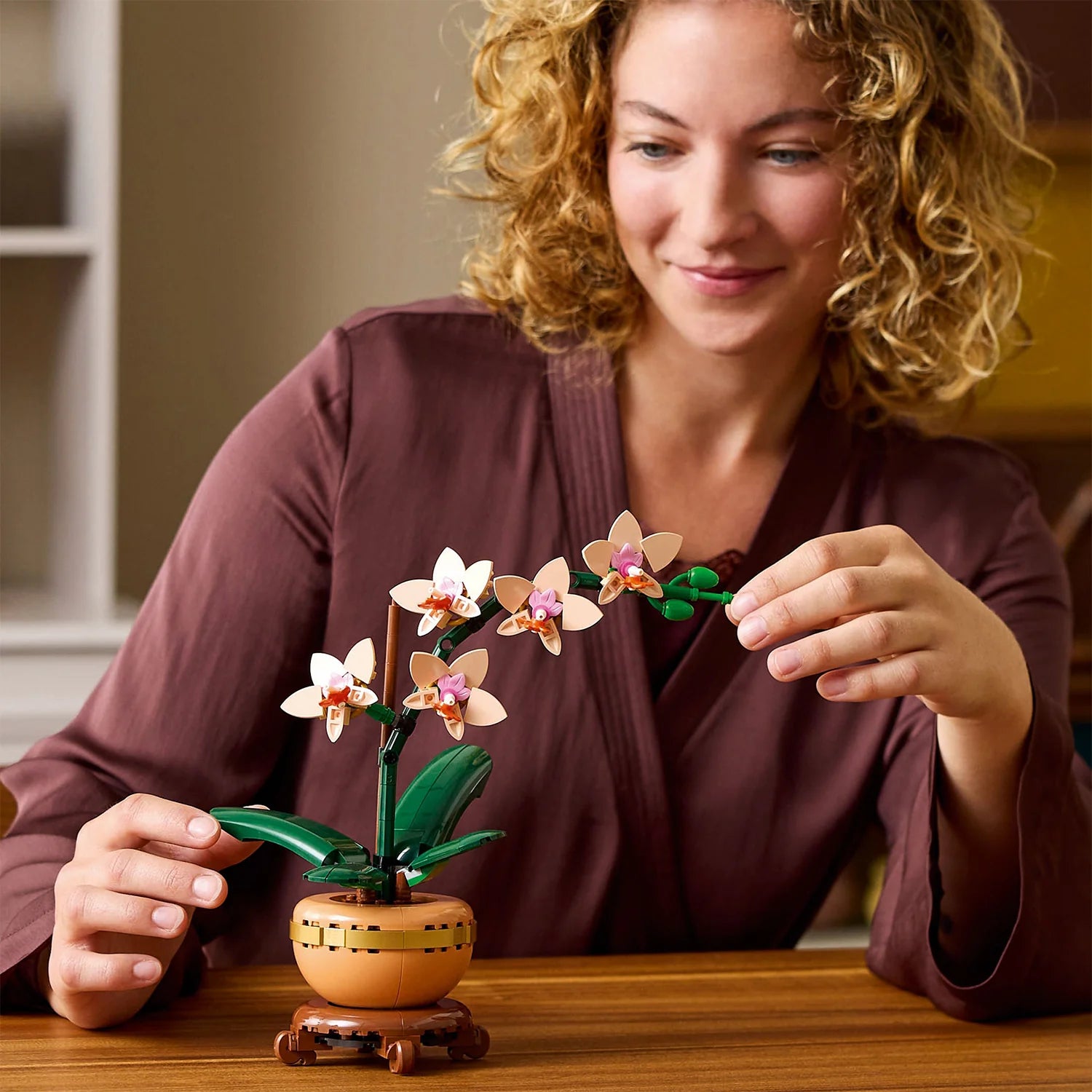 Botanical Collection - Mini Orchid (10343)