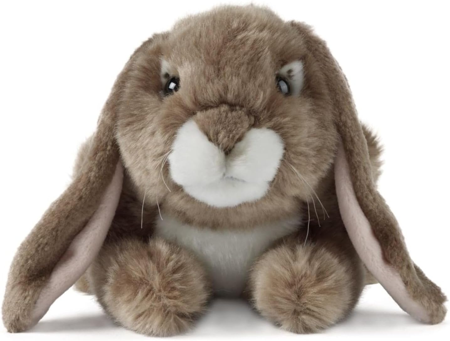 Lop Eared Rabbit - Dark Brown