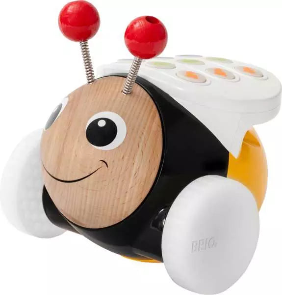 Code and Go Bumblebee
