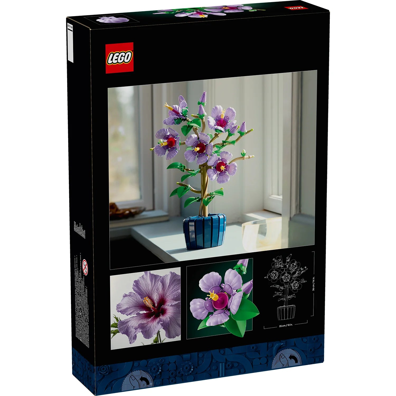 Botanical Collection - Hibiscus (10372)