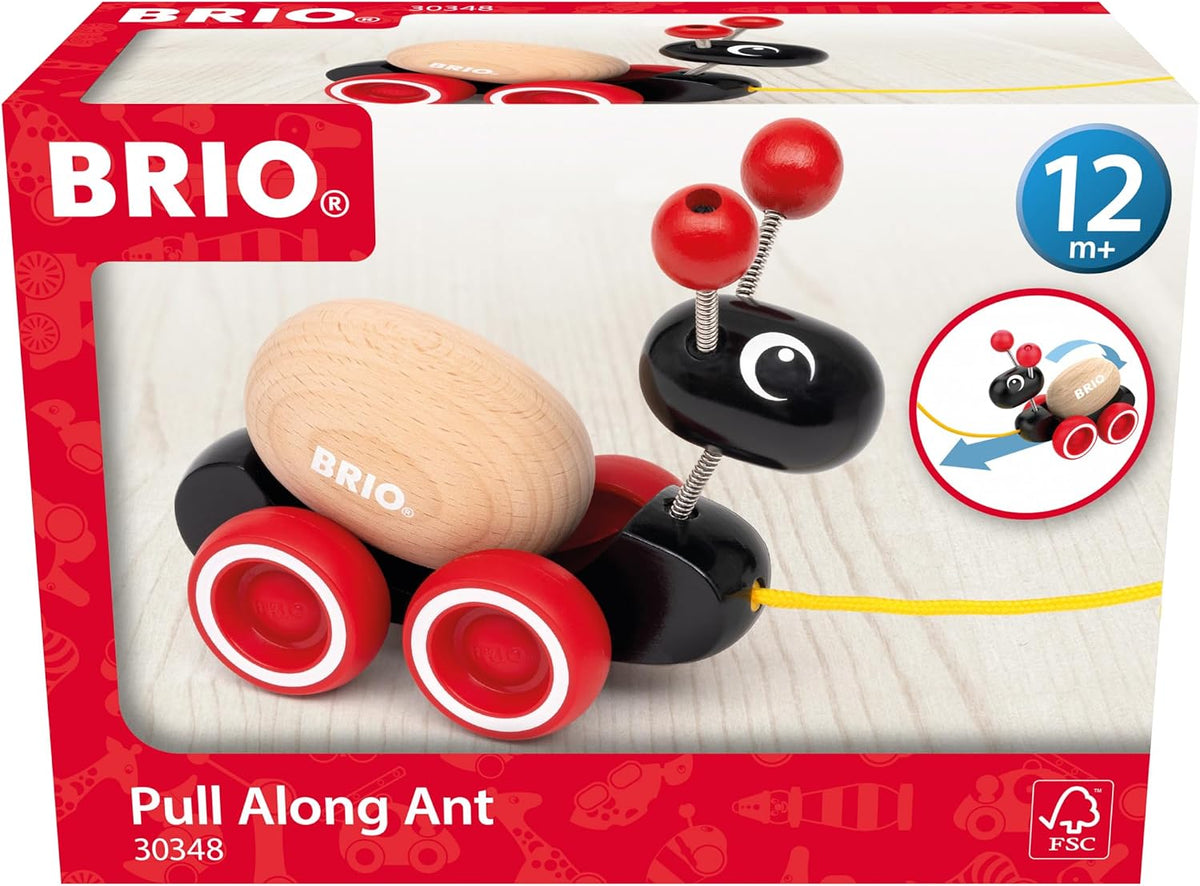 Pull Along Ant with Rolling Egg