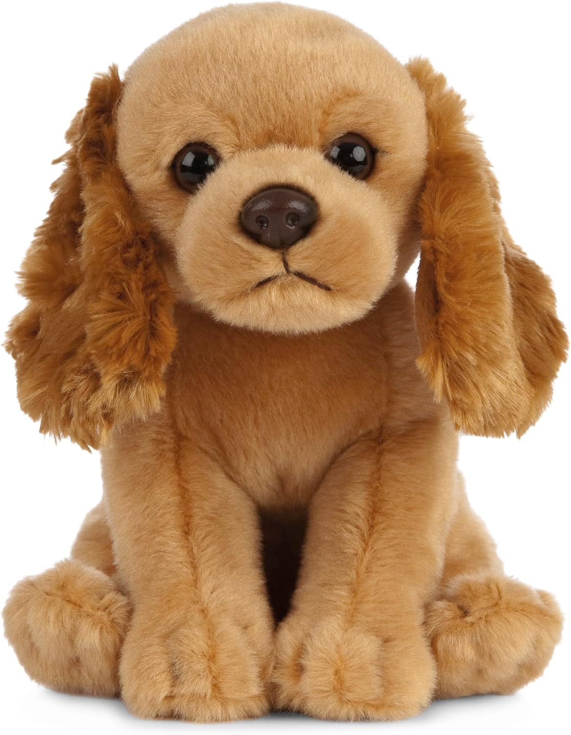 Cocker Spaniel Puppy