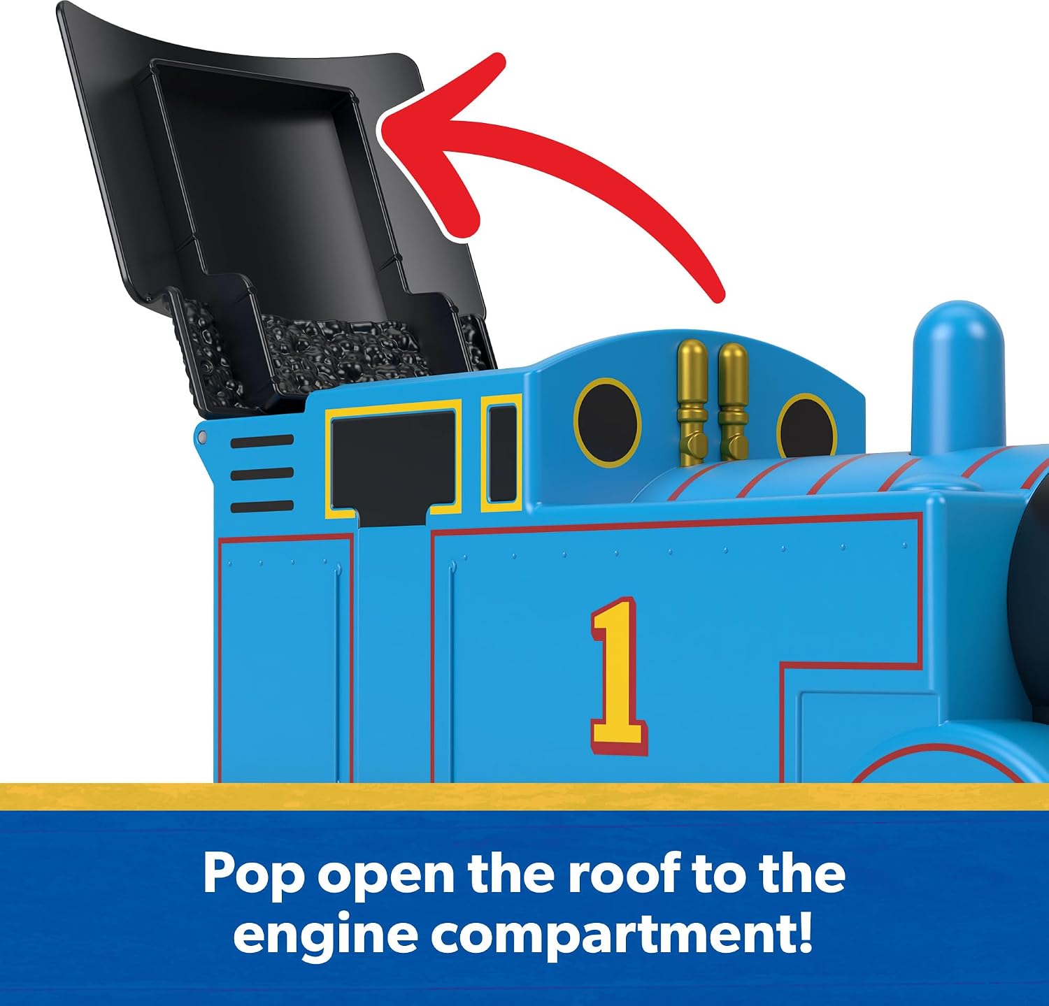 Giant Whistling Thomas