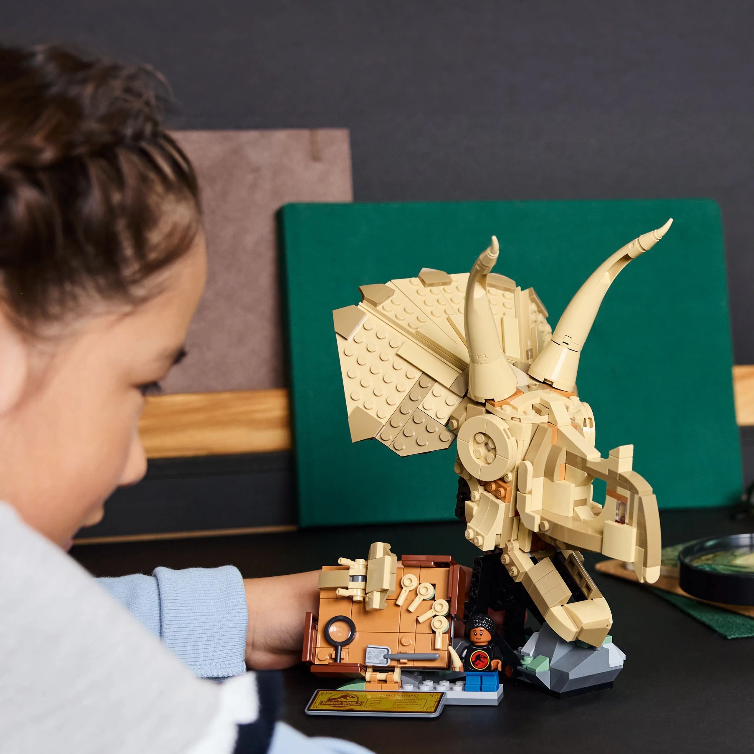 Jurassic World™ - Dinosaur Fossils: Triceratops Skull (76969)