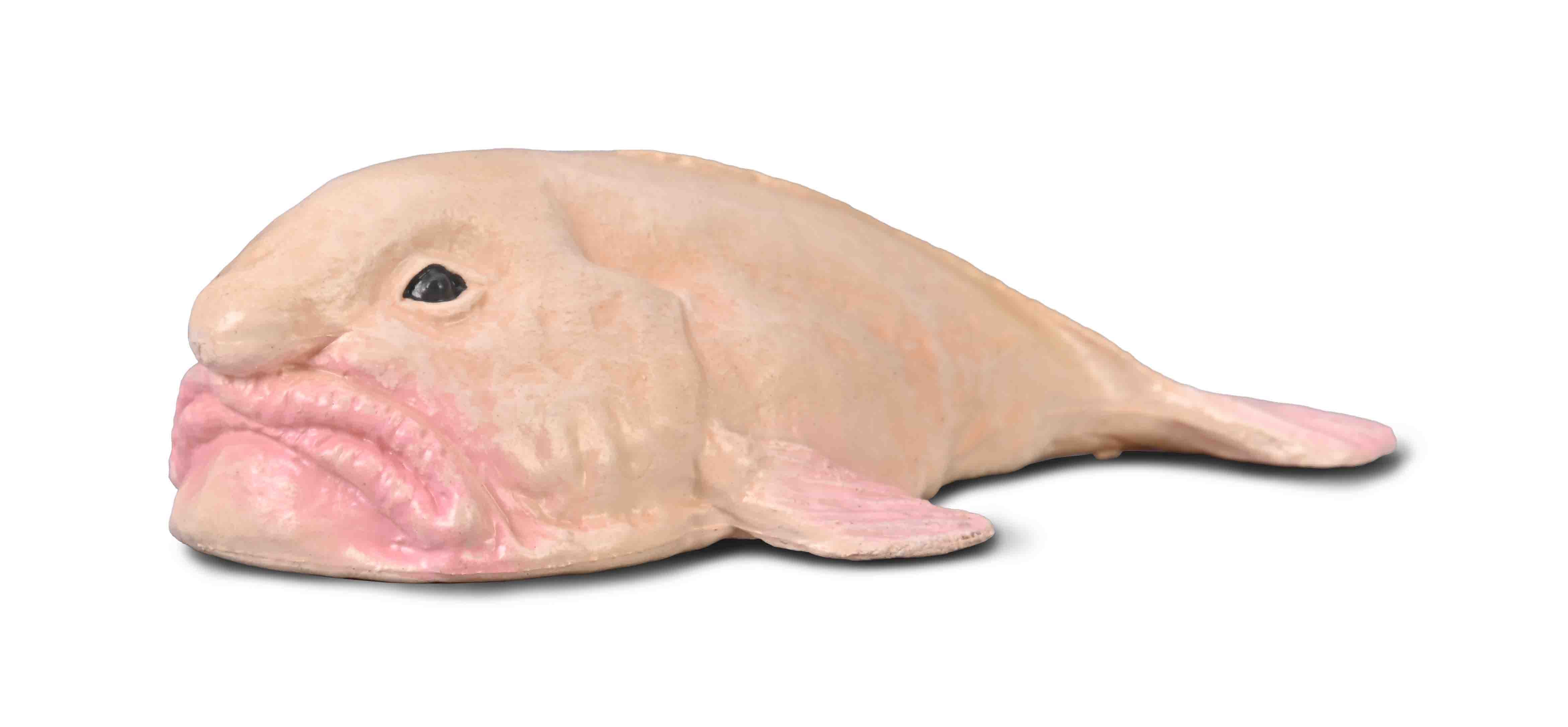 Blobfish, Small (80037)